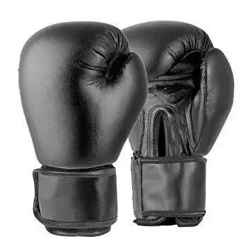 MMA Gym Boxing Gloves - Professional Boxers