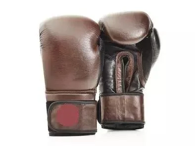 MMA Gym Boxing Gloves - Professional Boxers