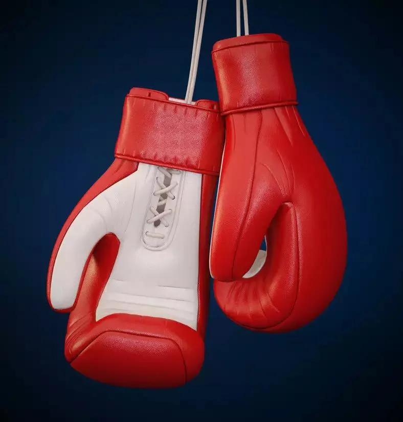 MMA Gym Boxing Gloves - Professional Boxers